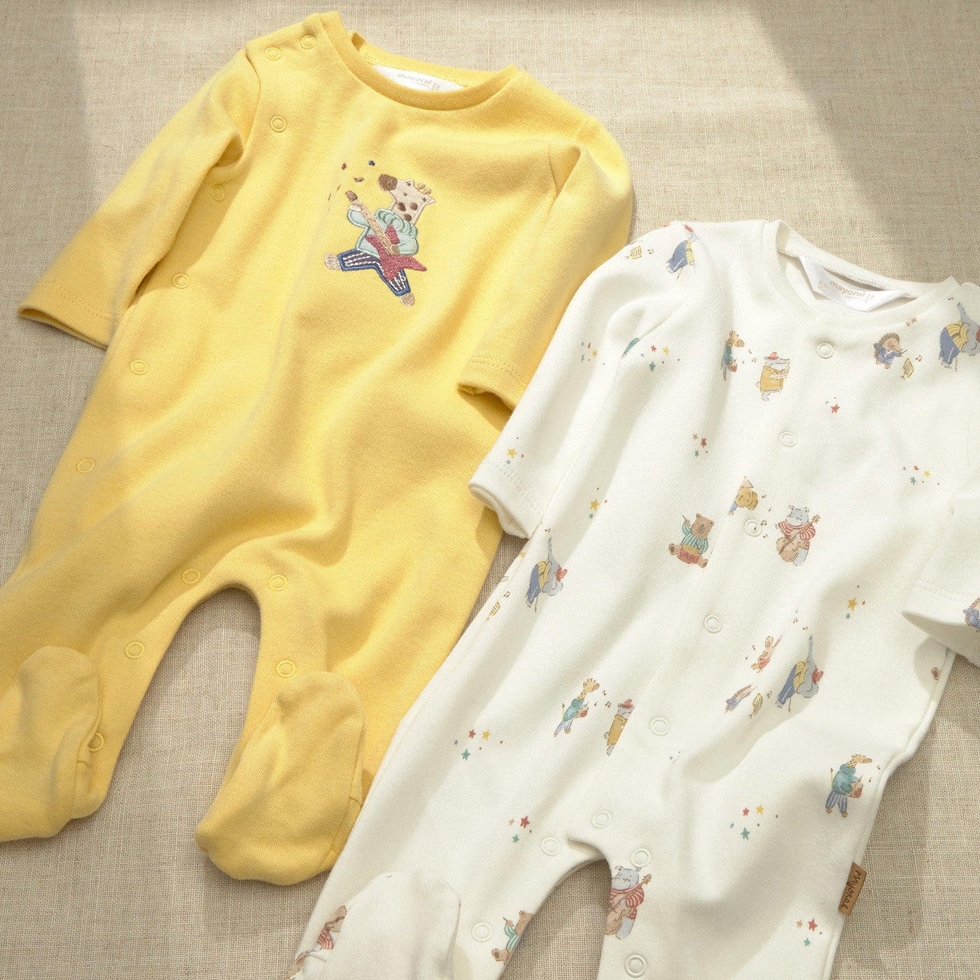Skaidrės vaizdas