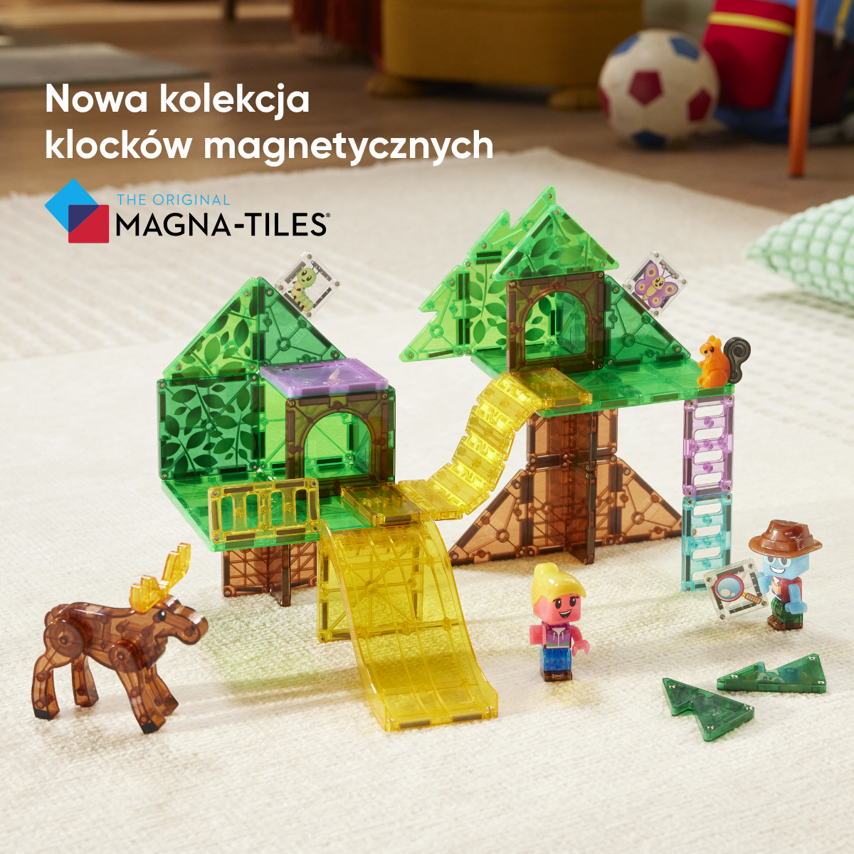 Skaidrės vaizdas