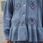 Skaidrės vaizdas