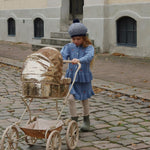 Skaidrės vaizdas