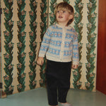 Skaidrės vaizdas
