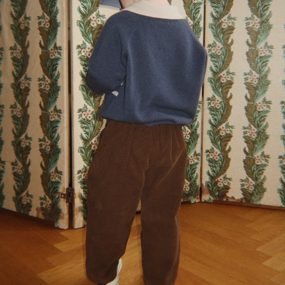Skaidrės vaizdas