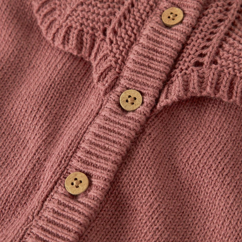 Skaidrės vaizdas