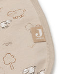 Skaidrės vaizdas