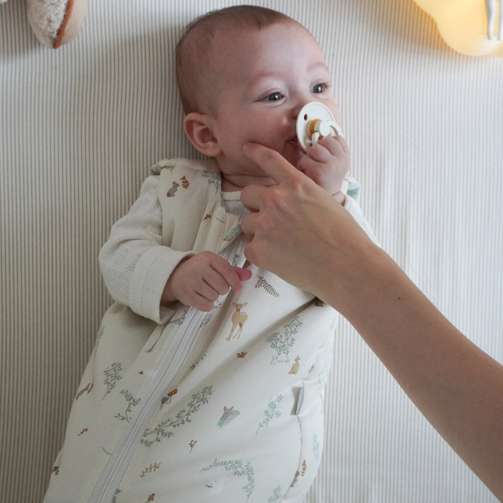 Skaidrės vaizdas
