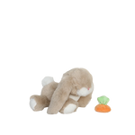 Skaidrės vaizdas