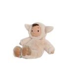 Skaidrės vaizdas