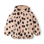 Skaidrės vaizdas