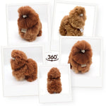 Skaidrės vaizdas