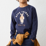 Skaidrės vaizdas