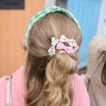 Skaidrės vaizdas