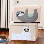 Skaidrės vaizdas