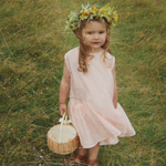 Skaidrės vaizdas
