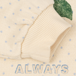 Skaidrės vaizdas