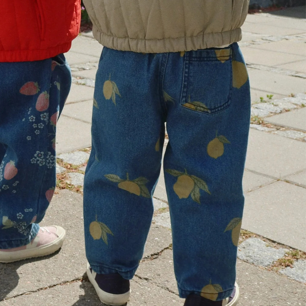 Skaidrės vaizdas
