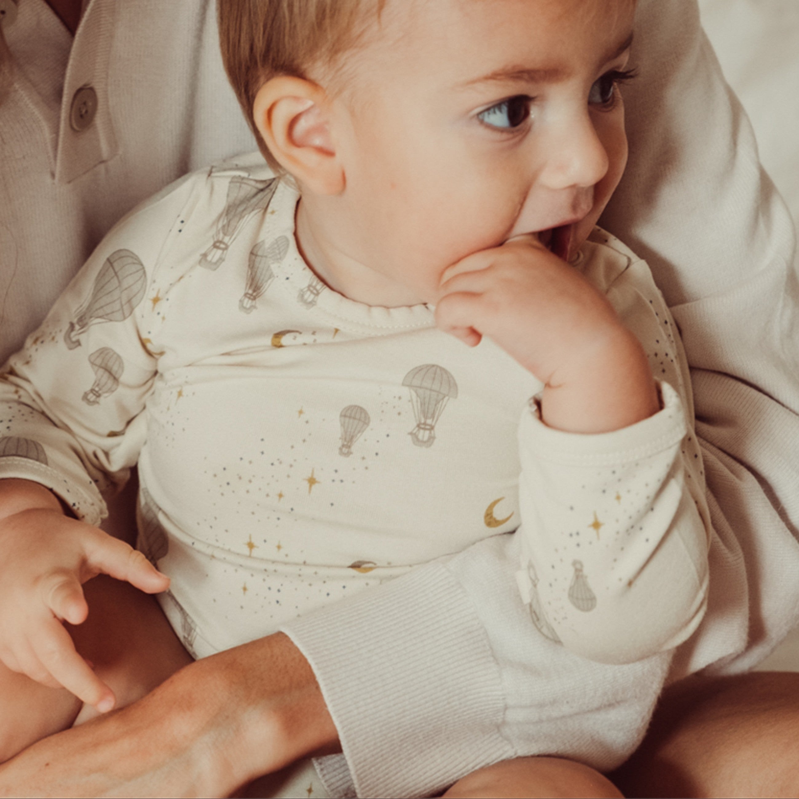 Skaidrės vaizdas